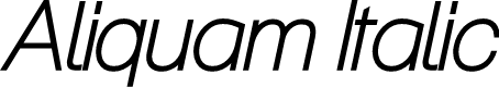 Preview image for Aliquam Italic