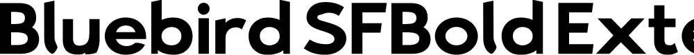 Preview image for Bluebird SFBold Extended