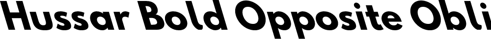 Preview image for Hussar Bold Opposite Oblique Three