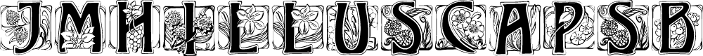 Preview image for JMHIllusCapsBlack-Regular