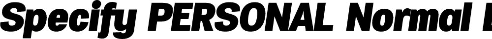 Preview image for Specify PERSONAL Normal Black Italic