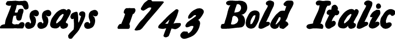 Preview image for Essays 1743 Bold Italic