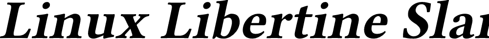 Preview image for Linux Libertine Slanted Bold