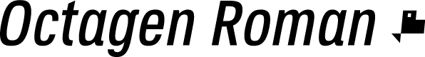 Preview image for Octagen Roman Italic