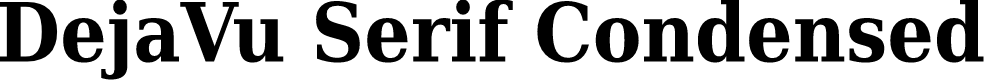 Preview image for DejaVu Serif Condensed Bold