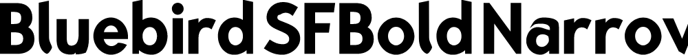 Preview image for Bluebird SFBold Narrow