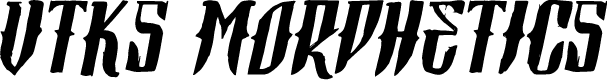 Preview image for Vtks Morphetics 2