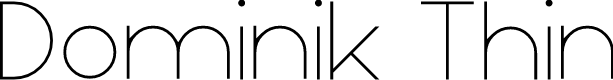 Preview image for Dominik Thin