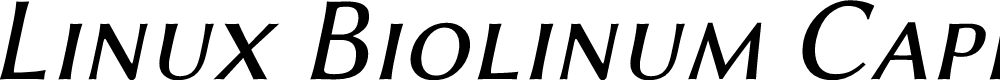 Preview image for Linux Biolinum Capitals Italic