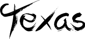 Preview image for Texas