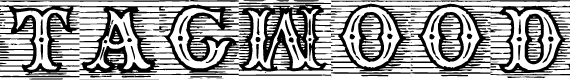 Preview image for TagWood