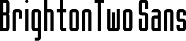 Preview image for BrightonTwo Sans NBP