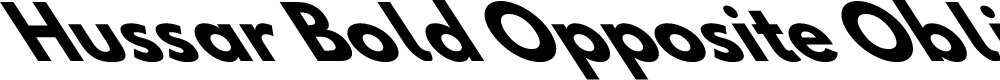 Preview image for Hussar Bold Opposite Oblique Seven