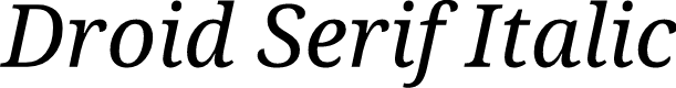 Preview image for Droid Serif Italic