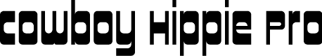 Preview image for CowboyHippiePro