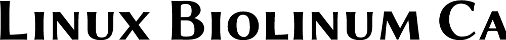 Preview image for Linux Biolinum Capitals Bold