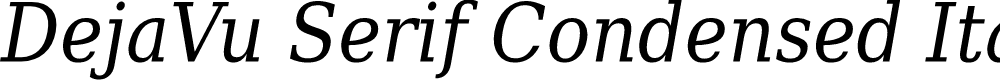 Preview image for DejaVu Serif Condensed Italic