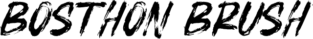 Preview image for BOSTHON BRUSH