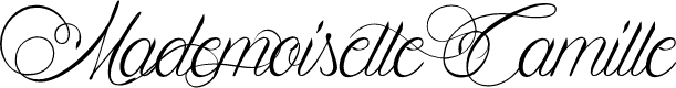 Preview image for Mademoiselle Camille