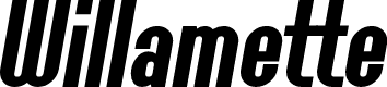 Preview image for SF Willamette Bold Italic