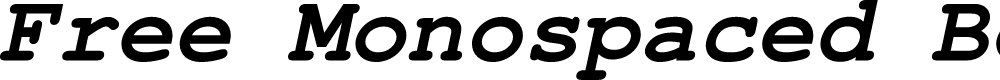 Preview image for Free Monospaced Bold Oblique