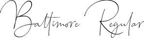 Preview image for Baltimore Regular