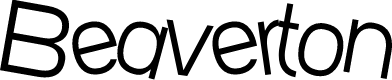 Preview image for SF Beaverton Light
