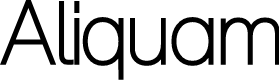 Preview image for Aliquam