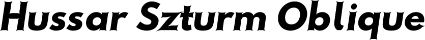 Preview image for Hussar Szturm Oblique