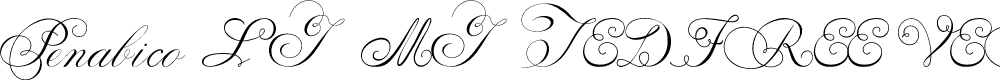 Preview image for Penabico LIMITED FREE VERSION