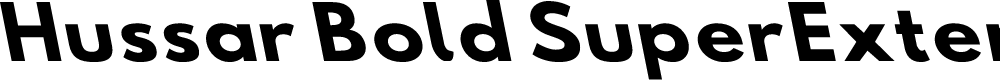 Preview image for Hussar Bold SuperExtended Oblique One