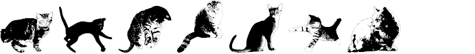 Preview image for DJ Cats