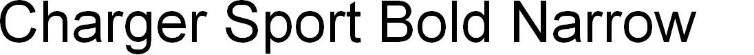 Preview image for Charger Sport Bold Narrow