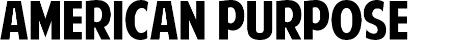 Preview image for American Purpose
