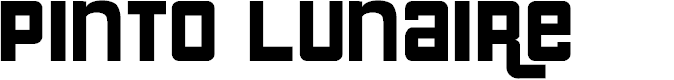Preview image for Pinto Lunaire