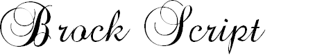 Preview image for Brock Script