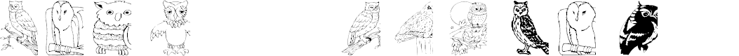 Preview image for AEZ Owls for Traci