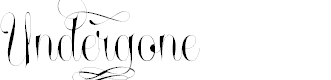 Preview image for Undergone Personal Use