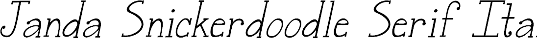 Preview image for Janda Snickerdoodle Serif Italic