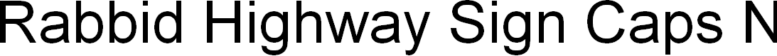 Preview image for Rabbid Highway Sign Caps Narrow Regular