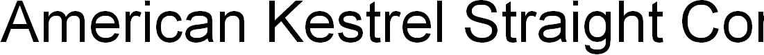 Preview image for American Kestrel Straight Cond