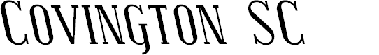 Preview image for Covington SC Rev Italic