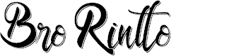 Preview image for Bro Rintto