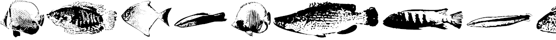 Preview image for FishyPrint One AOE