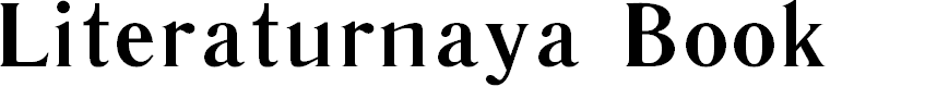 Preview image for Literaturnaya Book