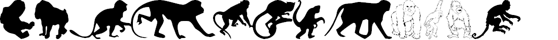 Preview image for MonkeysDC Primates