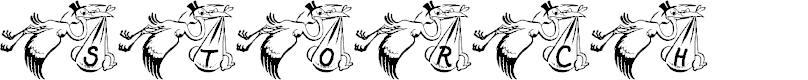 Preview image for Storch