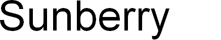Preview image for Sunberry