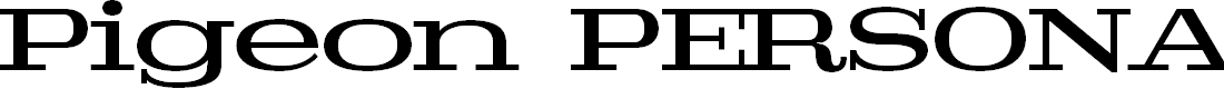 Preview image for Pigeon PERSONAL Medium