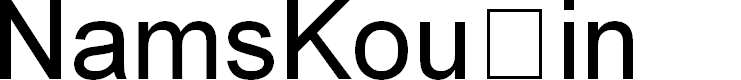 Preview image for NamskoutIn
